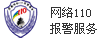網(wǎng)絡(luò)110