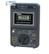 DG251數(shù)字式電動兆歐表