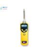 MiniRAE3000VOC檢測儀PGM-7320