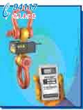 RON2000-H電子吊秤