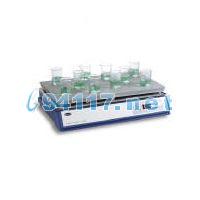 SD500數(shù)字控制通用電熱板 最高使用溫度:300℃