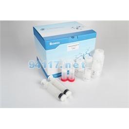 快速過濾法質(zhì)粒大量提取試劑盒PD1512-02