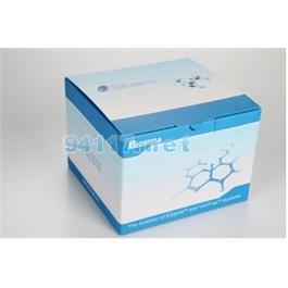 96孔磁珠法質(zhì)粒小提試劑盒MPD1812-01