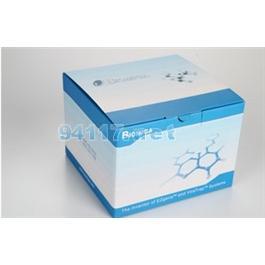 LIC1101-25BMG無縫克隆試劑盒