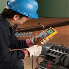 FLUKE-1508便攜式福祿克1508 數(shù)字“搖表”數(shù)字顯示