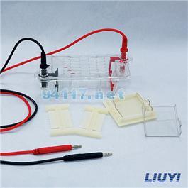 DYCP-31CN型瓊脂糖水平電泳儀(小號(hào))
